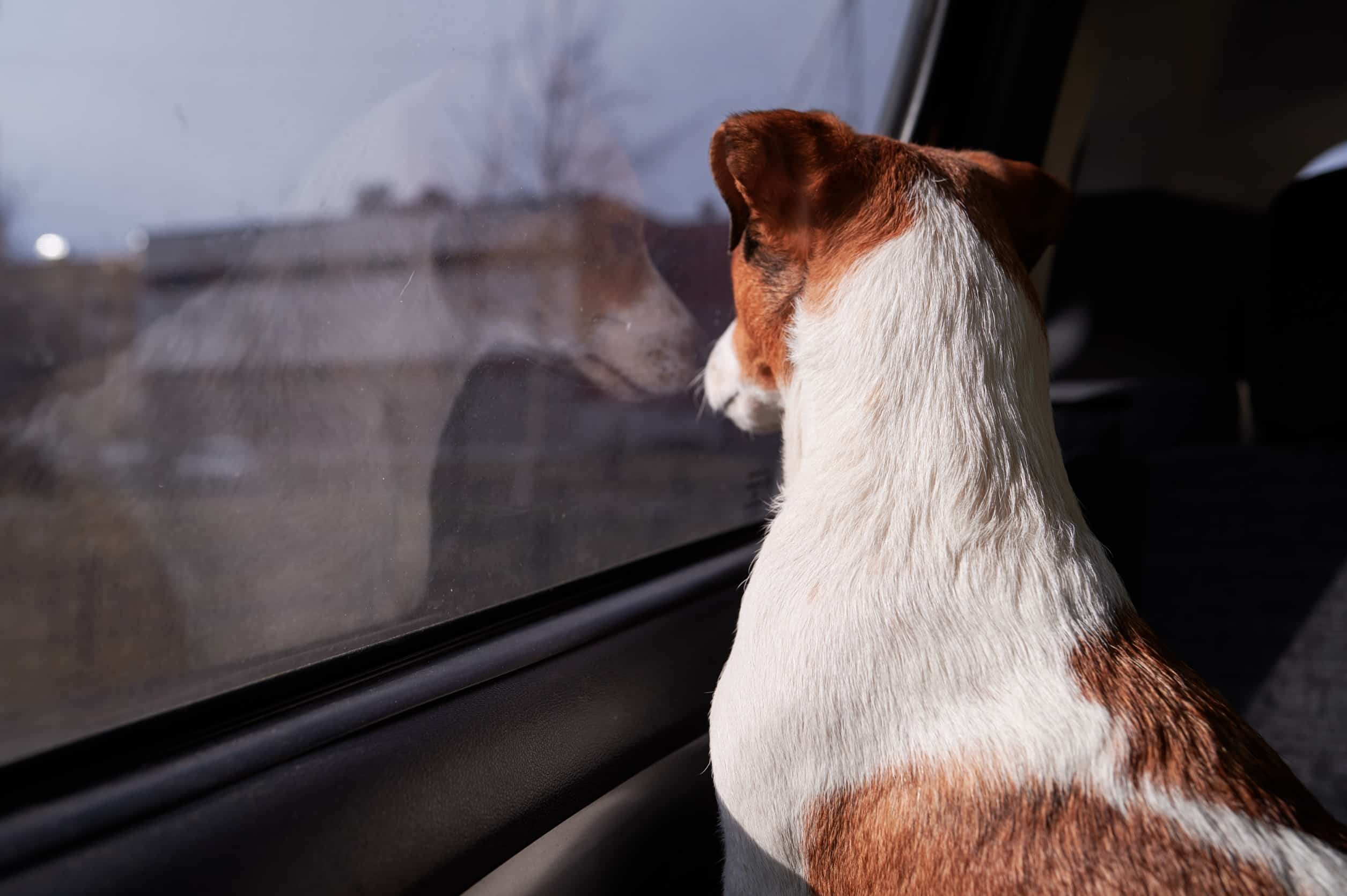 Demi Toit Panoramique Avant – Image 7